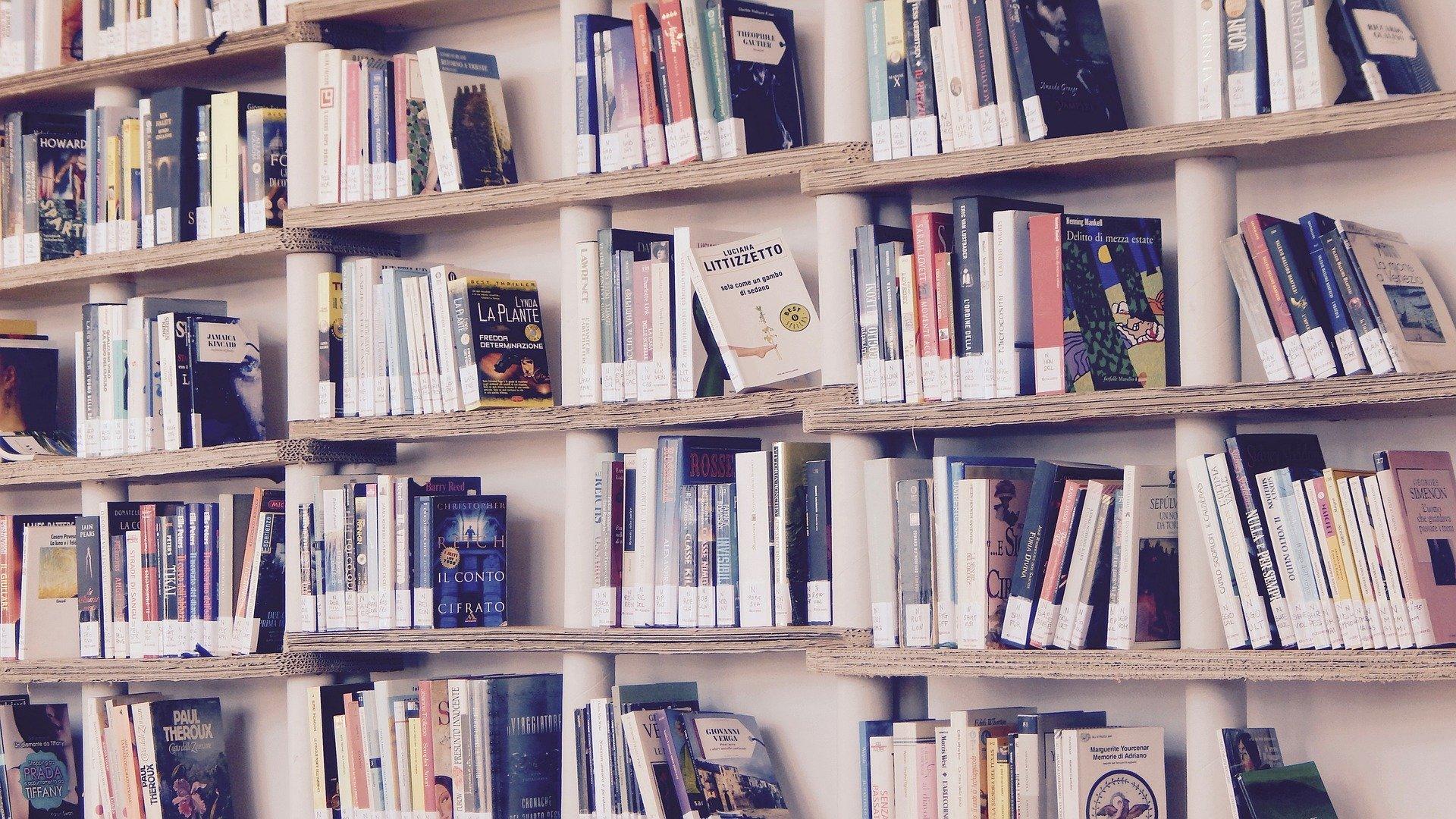 Bücher in einem Regal